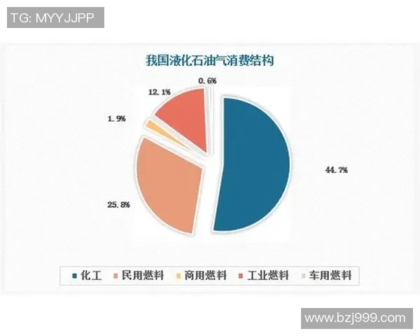 专业解析：液化天然气行业的市场攻势与战略布局探讨